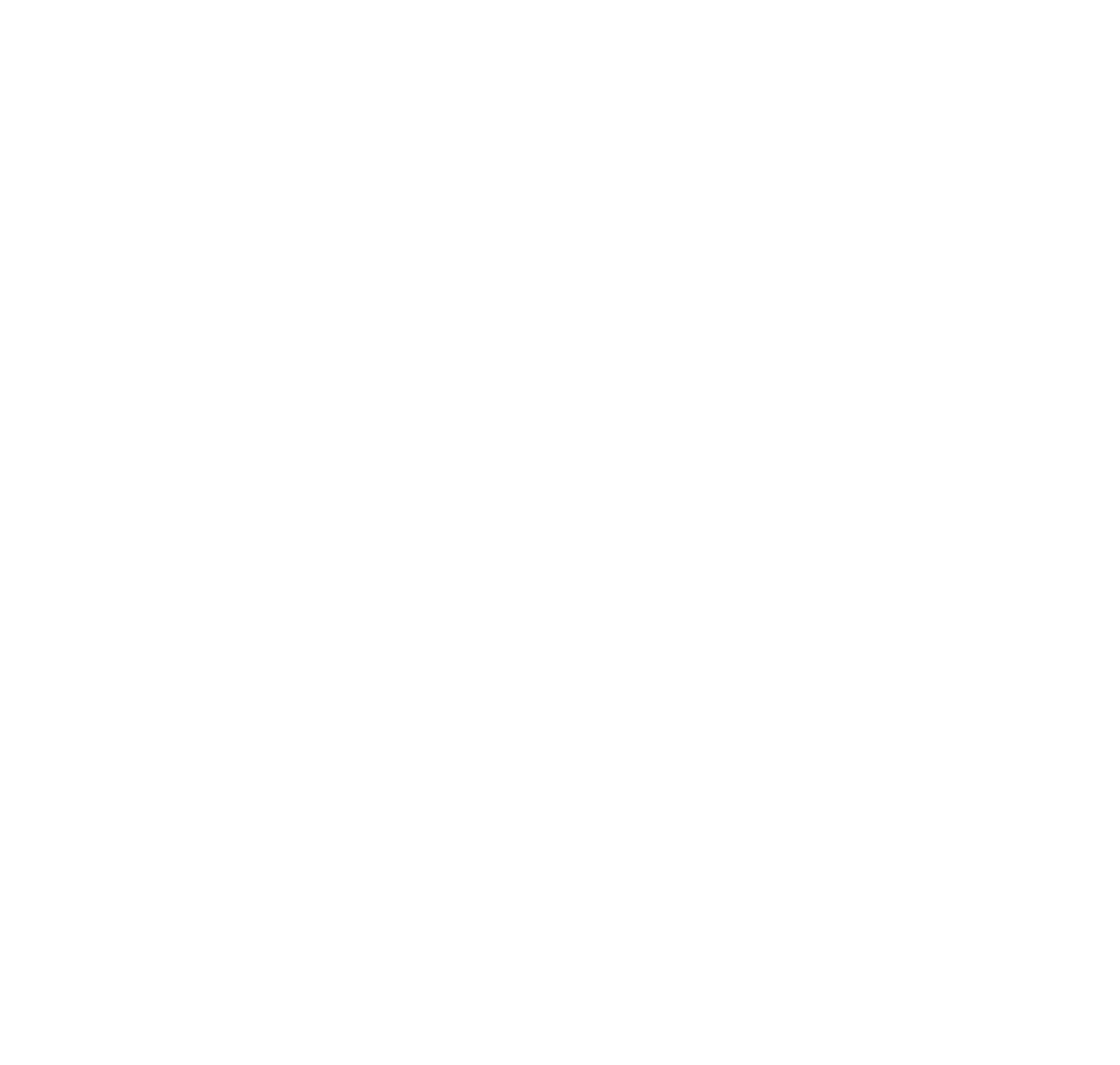 THE MAN STAG